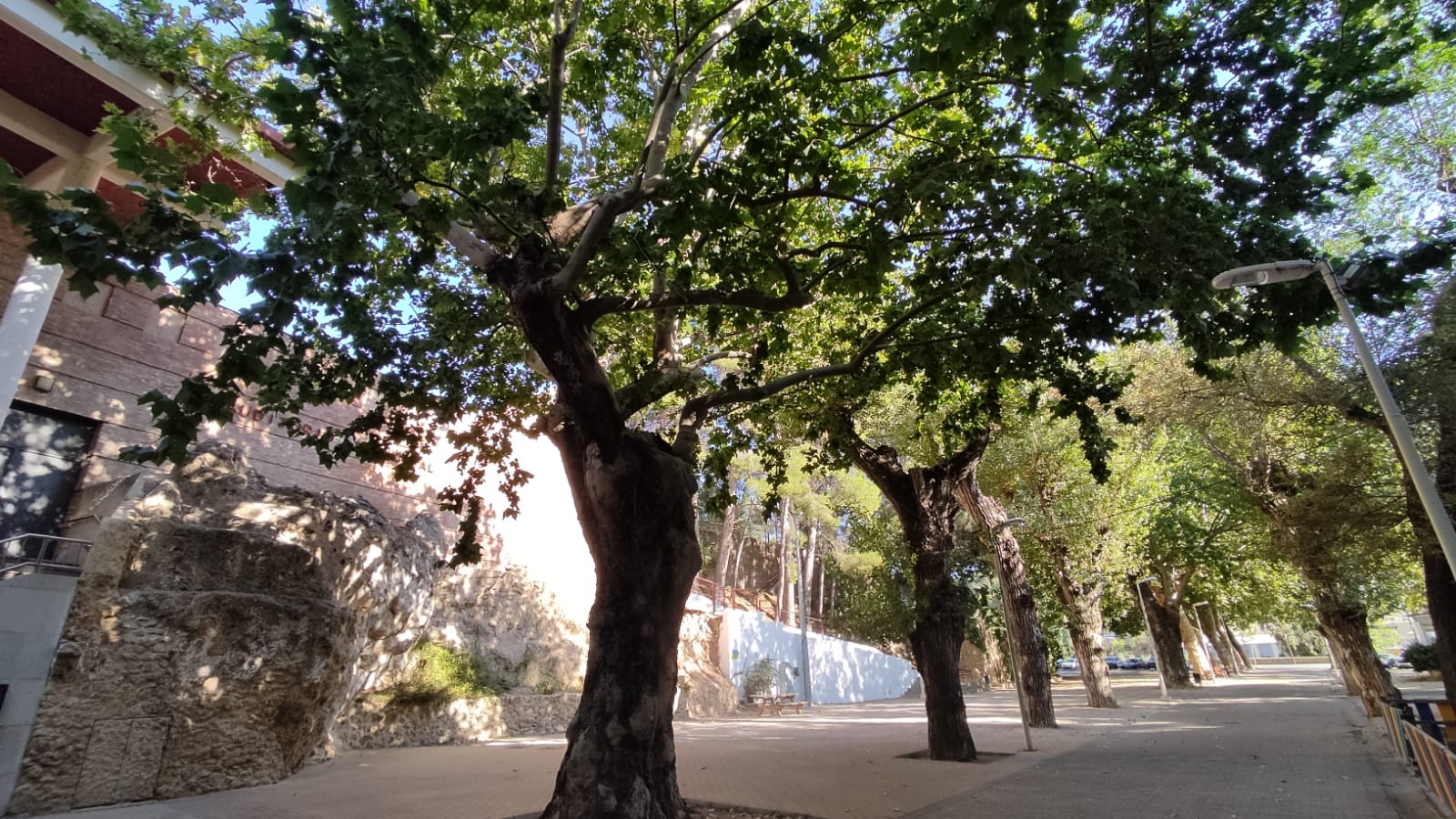 SAN LUIS 1